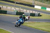 enduro-digital-images;event-digital-images;eventdigitalimages;mallory-park;mallory-park-photographs;mallory-park-trackday;mallory-park-trackday-photographs;no-limits-trackdays;peter-wileman-photography;racing-digital-images;trackday-digital-images;trackday-photos